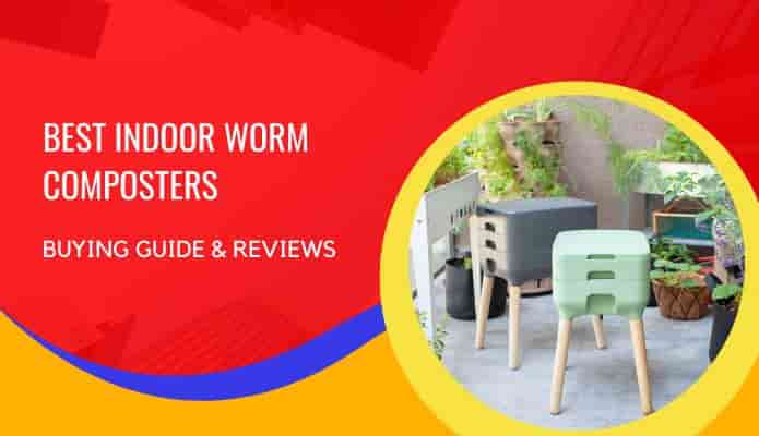 Best Indoor Worm Composter