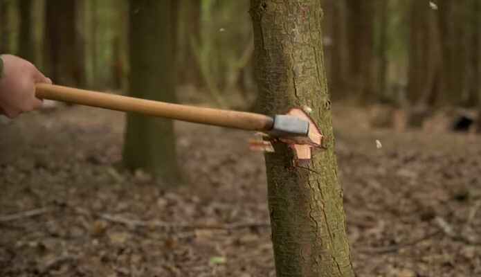 How to Use A Felling Axe