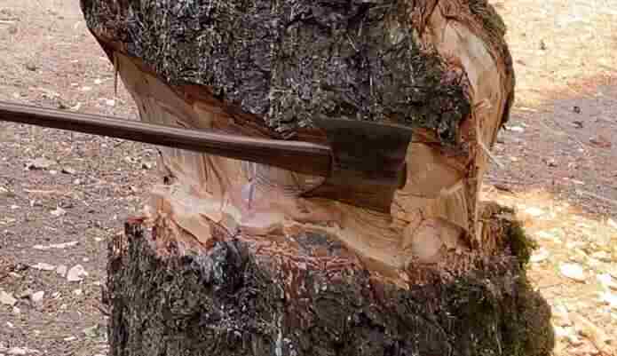 What Is A Felling Axe Used For