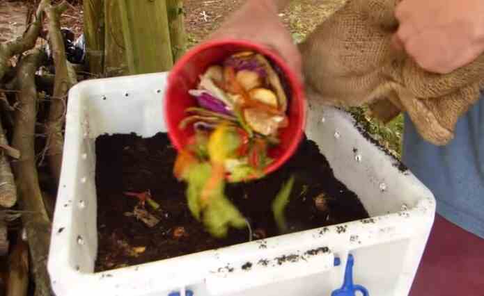 How do you keep worms alive in compost