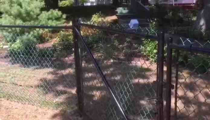 Why paint a chain link fence